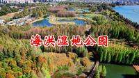 云南之旅～第19集《海洪湿地公园》