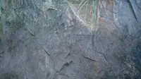 中国第四纪冰川遗迹陈列馆