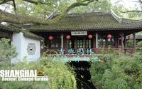 江南古典园林的代表，上海松江-醉白池。采菊东篱下，悠然见南山。园林是中国传统文人的精神家园。