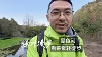 跑者游 | 好多野生猕猴，黑鱼河徒步很有趣