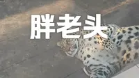 来攀枝花公园逛逛，看看攀枝花动物园是怎么样的