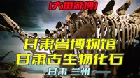 甘肃省博物馆——甘肃古生物化石（甘肃·兰州）研学