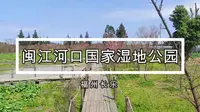 闽江河口国家湿地公园——和你一起逛公园13