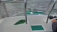 扎龙湖快艇