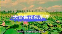 天台县花海茅垟旅游区