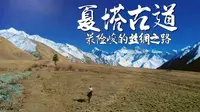 你知道“唐僧”古道吗？