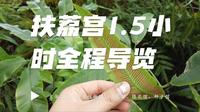 昆明植物园 | 我不允许还有人没去过扶荔宫