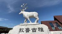 敖鲁古雅鄂温克族驯鹿文化博物馆