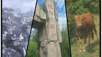 纯阳大峡谷