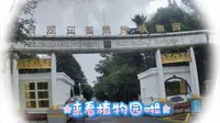 来看黑龙江省森林植物园啦