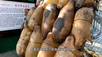 甘肃兰州水车园，羊皮筏子体验区