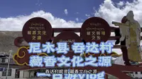 尼木县吞达村“藏香”文化之源 一日游