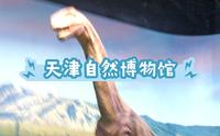 天津（五）天津自然博物馆