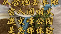 一个人从合肥去阜阳，尝人间烟火，逛文峰公园，是怎样体验？