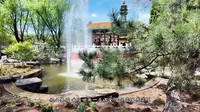 春日逛世博园｜打卡多城建筑，解锁花海与科普馆美景