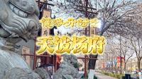 慢游开封之——天波杨府