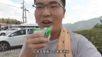 江西又又又藏着一个宝藏的小众旅游景区——通天寨