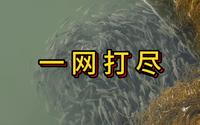 乳山银滩潮汐湖的鱼都被躺友抓去做生命维持套餐了！