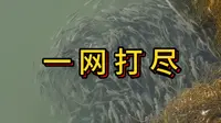 乳山银滩潮汐湖的鱼都被躺友抓去做生命维持套餐了！