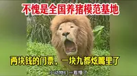 攀枝花动物园两块钱的门票，一块九都炫嘴里了！不愧是全国养猪模范