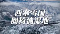 湖北省宜昌市夷陵区樟村坪镇圈椅淌国家湿地公园西塞国林海