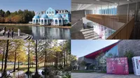 4K上海闵行文化公园跑步机风景vlog | 播客从上海的公园谈起 | 闵行博物馆 意大利当代艺术展览 黄兴纪念展 书画展 241127上海跑步路线 沉浸式跑步