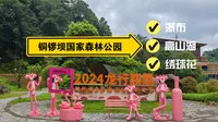 VLOG | 铜锣坝国家森林公园清凉一夏