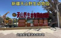 新疆天山野生动物园，门票100块，坐观光车进去转转