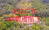 茶田观光新体验，尽享自然之美
