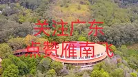 茶田观光新体验，尽享自然之美