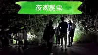 普洱太阳河国家公园夜观昆虫活动