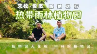 中科院西双版纳热带植物园（上集）