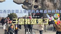 大家都别来禹州森林植物园了，鞋是在西门丢的，最后在东门找到了