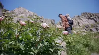 乌拉盖探花之旅寻找最美芍药花