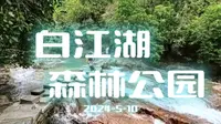 广州增城宝藏公园——白江湖森林公园