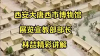 陕西西安大唐西市博物馆，展览宣教部部长林喆精彩讲解。《兰知春序》“游知万物”