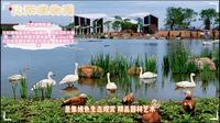 沈阳植物园游玩攻略
