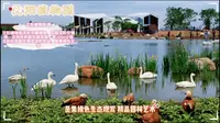 沈阳植物园游玩攻略