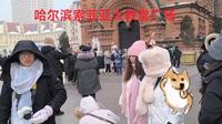 热闹的哈尔滨索菲亚大教堂广场