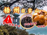 广西梧州自驾游：白云山篇丨必上云峯亭、四恩寺丨打卡新晋地标怎料中伏😱丨山下冰泉豆浆浓醇甘甜有柴火香丨正宗龟苓膏清热又解毒丨特色粤菜纸包鸡、葱油鱼、香芋鸭有惊喜