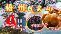 广西梧州自驾游：白云山篇丨必上云峯亭、四恩寺丨打卡新晋地标怎料中伏😱丨山下冰泉豆浆浓醇甘甜有柴火香丨正宗龟苓膏清热又解毒丨特色粤菜纸包鸡、葱油鱼、香芋鸭有惊喜