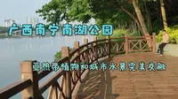 广西南宁南湖公园，亚热带植物和城市水景融为一体，风景真不错！