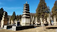 世界遗产天地之中：少林寺塔林 我国现存规模最大的古塔建筑群