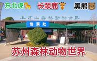 苏州上方山森林动物世界，里面有100多种动物，全都是野生动物