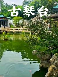 武汉被低估的“神仙机位”！穿汉服在古琴台随手拍，月湖倒影+龟山同框，出片率100%！人不多还免费