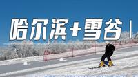 哈尔滨+雪谷：四天三晚超省钱保姆攻略