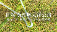 西安出发自驾黄柏塬太洋公路，漫山红叶秋景如画，分享自驾攻略，感受秋日浪漫！