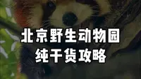 北京野生动物园真的好玩到爆炸！