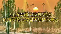 2025南疆赏秋视频(3)——拍摄地:轮台塔里木胡杨林景区