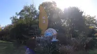 中国第一个慢城，中国慢城的总部高淳桠溪，山水城林融为一体，江南小城别具韵味，点亮南京所有角落，骑行打卡高淳桠溪